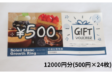 店舗利用券12000円分