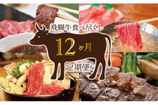 【12か月定期便】飛騨牛食べ尽くし