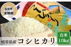 【6か月定期便】岐阜コシヒカリ10kg