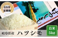 【6か月定期便】岐阜ハツシモ5kg