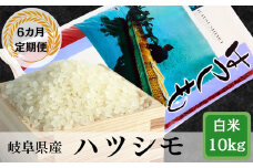 【6か月定期便】岐阜ハツシモ10kg