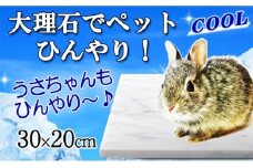 うさぎひんやり大理石マット 30×20センチ イタリア産 ビアンコカラーラ【1287890】