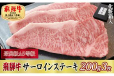 ＜化粧箱入り・最高級A5等級＞飛騨牛サーロインステーキ200g×3枚【1108618】