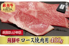 ＜化粧箱入り・最高級A5等級＞飛騨牛ロース焼肉用400g(牛脂付き)【1488415】