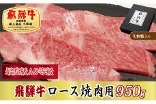 ＜化粧箱入り・最高級A5等級＞飛騨牛ロース焼肉用950g(牛脂付き)【1488418】