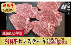 ＜化粧箱入り・最高級A5等級＞飛騨牛ヒレステーキ120g×5枚(牛脂・ステーキソース付き)【1488765】