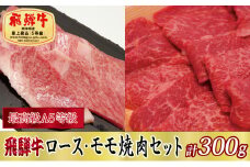 ＜化粧箱入り・最高級A5等級＞飛騨牛ロース・モモ焼肉セット計300g(牛脂付き)【1488819】