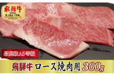＜最高級A5等級＞飛騨牛ロース焼肉用300g(牛脂付き)【1488953】