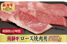 ＜最高級A5等級＞飛騨牛ロース焼肉用500g(牛脂付き)【1488954】