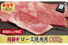 ＜化粧箱入り・最高級A5等級＞飛騨牛ロース焼肉用800g(牛脂付き)【1488417】
