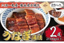 ＜三河一色産・備長炭手焼き＞うなぎ蒲焼 2尾セット【1136589】