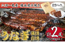 ＜三河一色産・備長炭手焼き＞うなぎ蒲焼・白焼食べ比べセット【1136590】