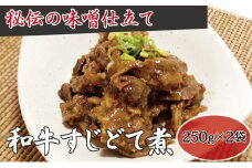 ＜高木精肉店手作り＞和牛すじ どて煮 250g×2袋【1488955】