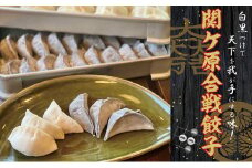 ＜関ケ原産ふわりもち使用 ＞関ケ原合戦餃子(黒餃子、白餃子　各25個入)【1440712】