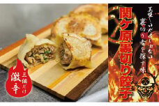 ＜関ケ原産ふわりもち使用＞関ケ原裏切り餃子(激辛)＜白餃子50個のうち、激辛3個入り＞【1440710】