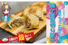 ＜関ケ原産ふわりもち使用＞関ケ原裏切り餃子(激甘)＜白餃子50個のうち、激甘3個入り＞【1440705】