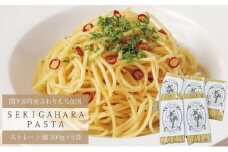 関ケ原パスタ(ストレート麺) 1500g(約15人前)【1494046】