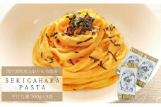 関ケ原パスタ(平打ち麺)900g(約9人前)【1494049】