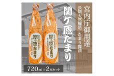 宮内庁御用達　長期天然醸造 たまり醤油「関ケ原たまり」720ml×2本【1494156】