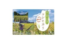 関ケ原町中挟地区限定米 コシヒカリ 精米 5kg【1495199】