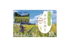 関ケ原町中挟地区限定米 コシヒカリ 精米 10kg【1495201】