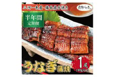 ＜毎月定期便＞三河一色産 備長炭手焼き 昭和9年創業 魚しげのこだわりのうなぎ 蒲焼1尾　全6回【4012732】