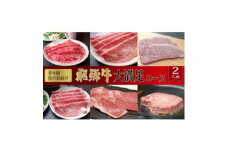 ＜毎月定期便＞化粧箱入り　飛騨牛大満足コース(約2人前)　全6回【4053824】