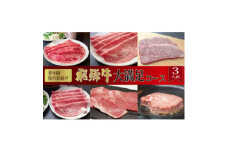 ＜毎月定期便＞化粧箱入り　飛騨牛大満足コース(約3人前)　全6回【4053826】
