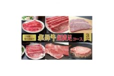 ＜毎月定期便＞化粧箱入り　飛騨牛超満足コース(約3人前)　全12回【4053837】