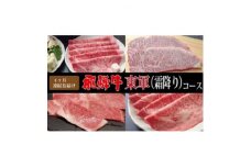 ＜毎月定期便＞最高級A5等級　飛騨牛東軍(霜降り)コース(約2人前)全4回【4054494】