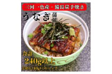 三河一色産 備長炭手焼き 昭和9年創業 魚しげのこだわりのうなぎ 蒲焼 2切れ×6パック【1579334】