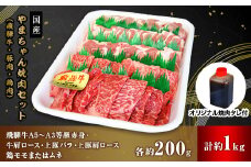 やまちゃん飛騨牛焼肉セット　計約1kg(オリジナルタレ付き)【1048112】