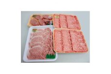 ＜特選＞飛騨牛　A5等級スペシャルセット【1048747】