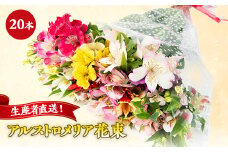 生産者直送!アルストロメリア　花束20本セット【1049956】