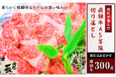 肉匠が選んだ飛騨牛A5等級切り落とし　300g(薄切り)【1107148】