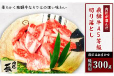 肉匠が選んだ飛騨牛A5等級切り落とし　300g(焼肉用)【1107149】