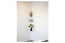 ミノウラリコルベ(Licolbe)のパーソナルタワー(室内用小物展示スタンド)【1122476】