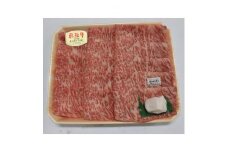 飛騨牛A5等級　ロース　スライス　約500g【1125927】