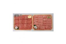 飛騨牛A5等級　ロース・モモ食べ比べセット(すき焼き、しゃぶしゃぶ)【1261029】
