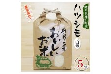 ＜令和5年産＞岐阜県神戸町:農家直送!岐阜ハツシモ　白米　5kg【1354301】