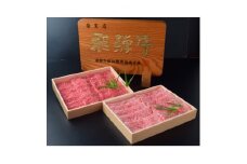 名産飛騨牛ロース(A5等級)薄切り肉　約500g×2箱【1352055】