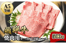 『A5等級』飛騨牛焼肉用500g　ロース又は肩ロース肉【1432055】