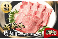 『A5等級』飛騨牛焼肉用500g　ロース又は肩ロース肉【1432055】