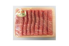 A5等級 飛騨牛ロースしゃぶしゃぶ用400g(冷凍)【1132917】