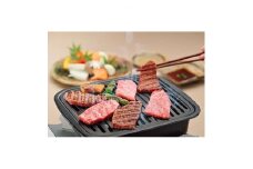 A5等級 飛騨牛ロース焼肉用500g(冷凍)【1134702】