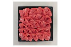 A5等級 飛騨牛切落し500g(冷凍)【1134703】