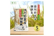 2024年1月発送開始『定期便』＜岐阜県輪之内町産米ハツシモ＞徳川将軍家御膳米・5kg×全6回【5140551】