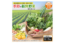 ＜毎月定期便＞＜栽培期間中化学肥料・農薬不使用＞季節の新鮮野菜の詰め合わせ 全3回【4011402】