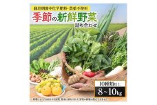 ＜毎月定期便＞＜栽培期間中化学肥料・農薬不使用＞季節の新鮮野菜の詰め合わせ 全6回【4011403】