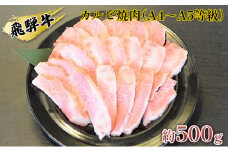 [№5331-0055]飛騨牛カルビ焼肉（A4～A5等級）約500g（約250g×2パック）